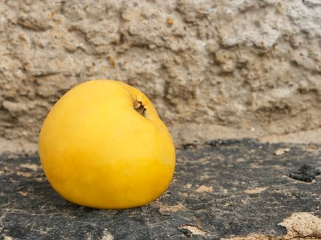 Yellow apple on the tarred surface against concrete wall