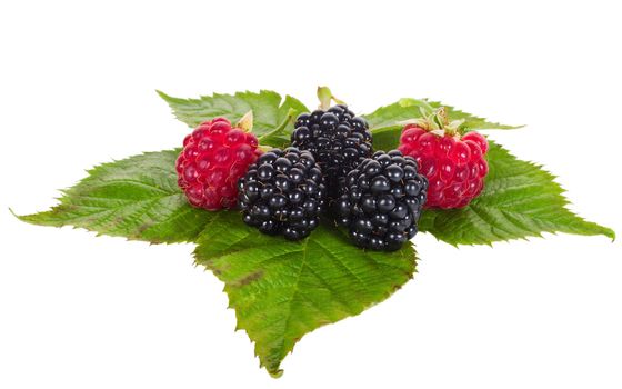 close-up raspberry and blackberry, isolated on white