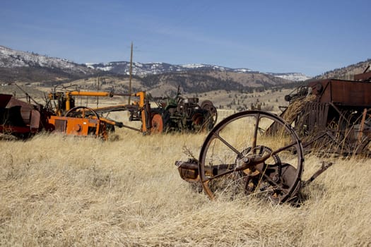 old rusty farm equipment in a yellow field