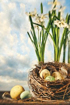 Nest of eggs with spring flowers for Easter