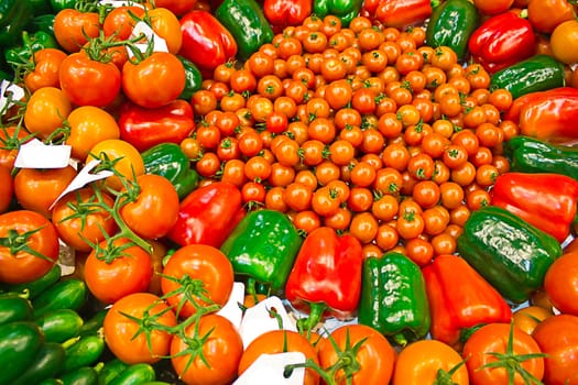 Bio vegetables - tomatoes, cucumber and pepper. Healthy food.