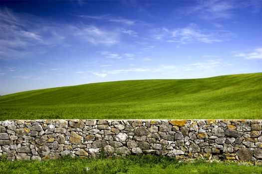 Beautiful green meadow with a old Stone wall 