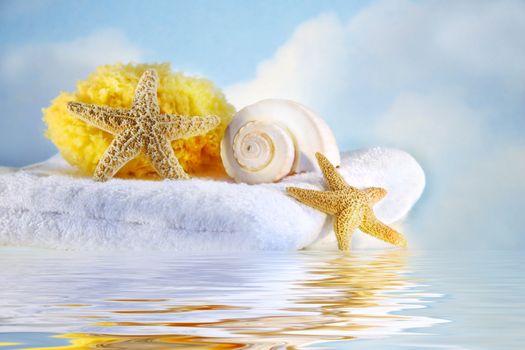 Sea shells and towel with water reflection