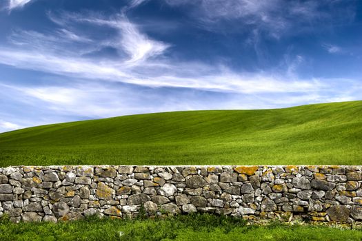 Beautiful green meadow with a old Stone wall 