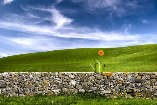 Green watering can over a stone wall on a beautiful green meadow