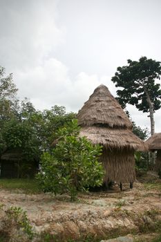 tree house bungalow long beach  koh chang island thailand