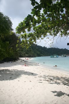 tropical beach island nature landscapes from thailand