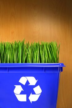 Blue recycle bin with grass inside against wood background