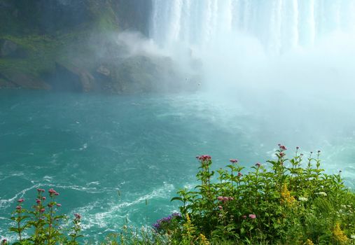 Cliff view with wild flowers overlooking Niagara falls