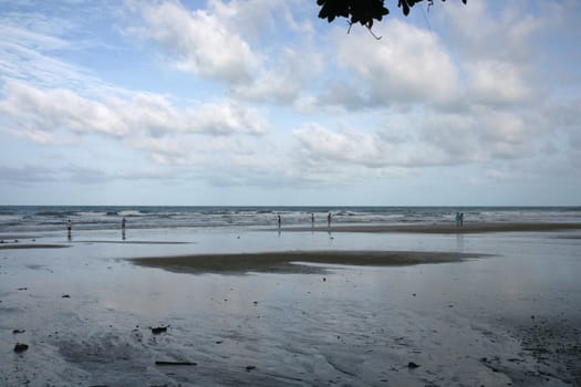 morning walk on the beach vacation images