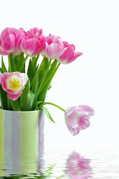 Lots of pink tulips in vase