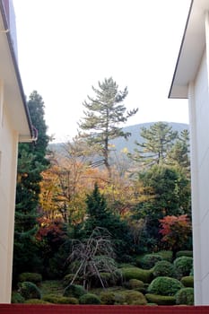 A Japananese autumn landscape through buildings
