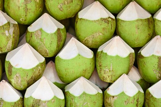 Coconuts are ready to sell - the background