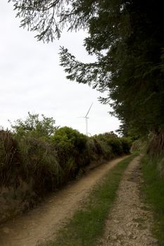 dirt road to a windmill on lush irish countryside landscape in glenough county tipperary ireland