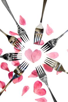 forks surrounding a heart shape petal with rose petals for a concept on romantic dining on white background