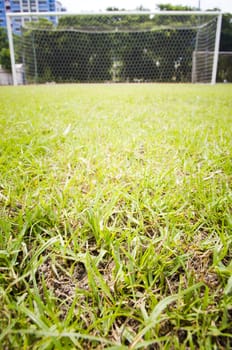 soccer field with a focused foreground.