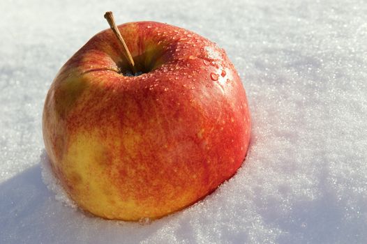 An apple lay on snow at day light