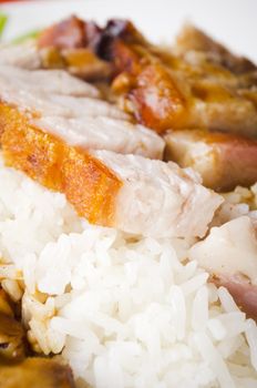 chinese style roasted pork with rice, popular in asian countries, picture taken in singapore.