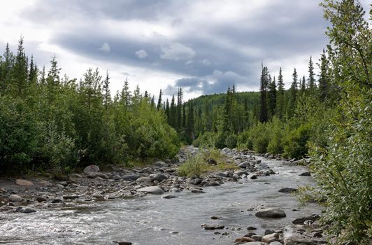 Summer time in the National Park still brings rain and wind.