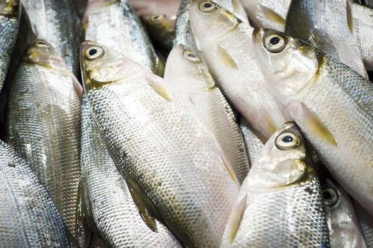 milk fish for sale, in wet market of philippines.