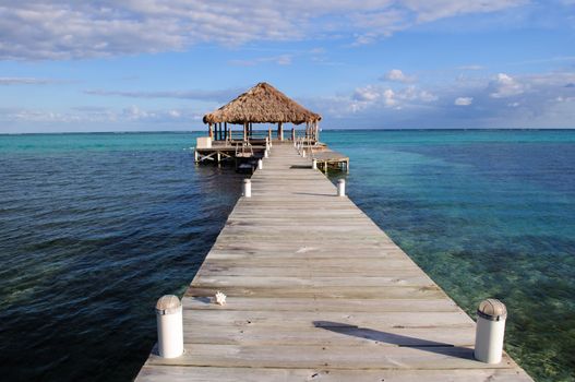 Beach Deck with Palapa floating in the water