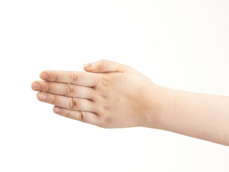 Back of childs hand - on white background