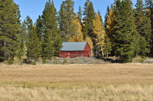 Cabin in Fall