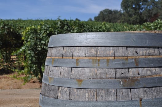 Wine Barrel and Vineyard