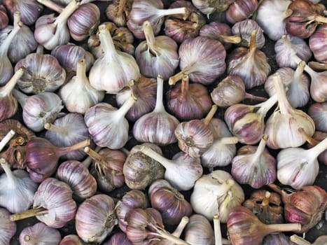 Close up view of garlic bulbs background