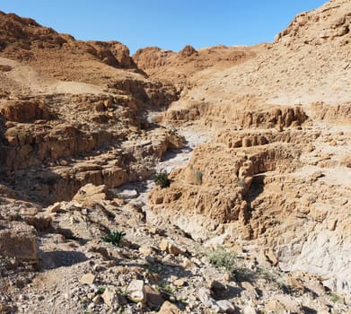 Gorge in desert cut by a Qumran creek near the Dead Sea