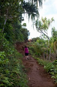 Single woman walker on Kalalau trail along Na Pali coast in Kauai Hawaii