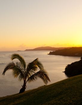 Sunrise with palm trees with Kilauea lighthouse in the distance