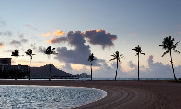 Palm trees by side of beach in Waikiki at dawn