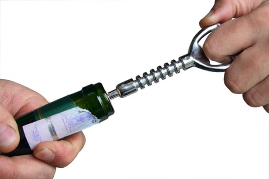 man hands open wine bottle with corkscrew isolated on white