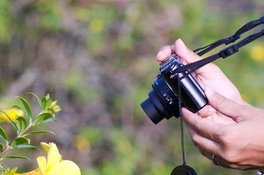 a pair of hands holding a camera and taking picture on a flower