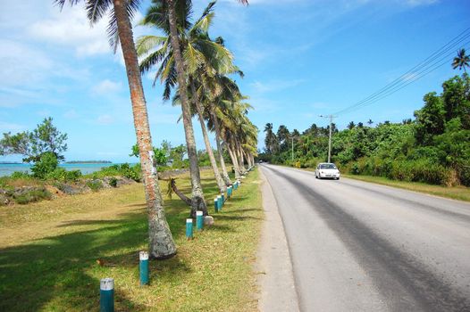 White car at road with palms, South Pacific, Tonga