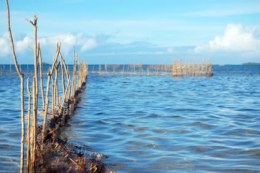 Fishing net, South Pacific, Tonga