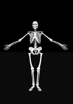 White skeleton arms wide open in black background