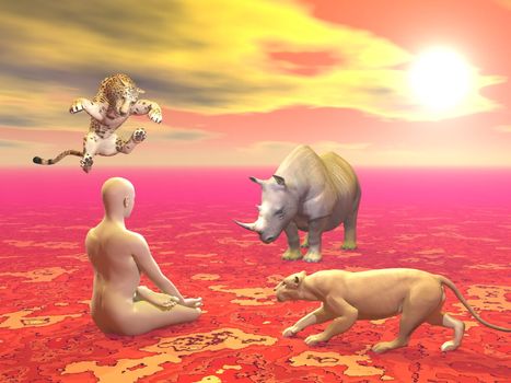 Peaceful man sitting in lotus position in front of agressive wild animals by sunset