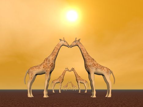 Several giraffe couple in by sunset