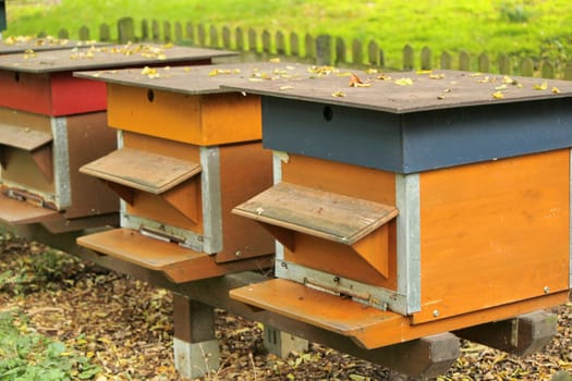 Colorful beehives in a row in the nature