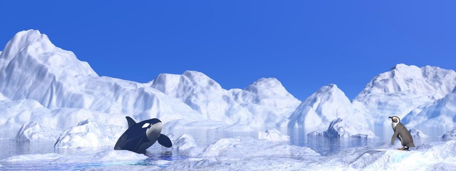 Penguin and orca meeting among icebergs by beautiful day
