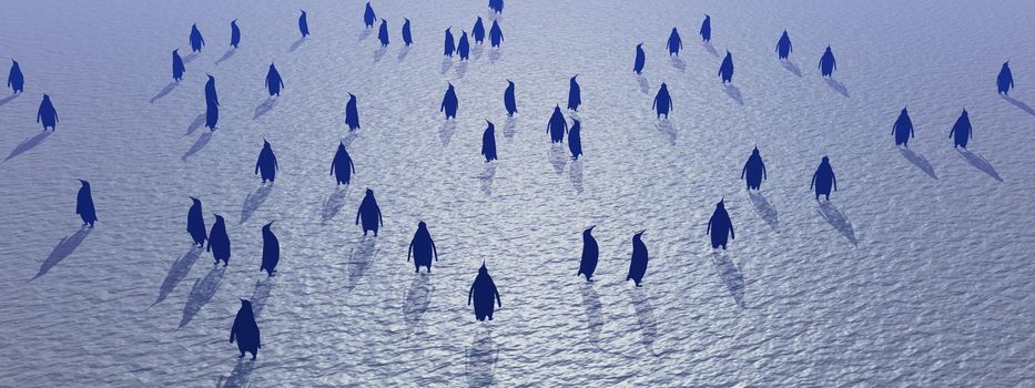 Many penguins standing on the ice by sunset