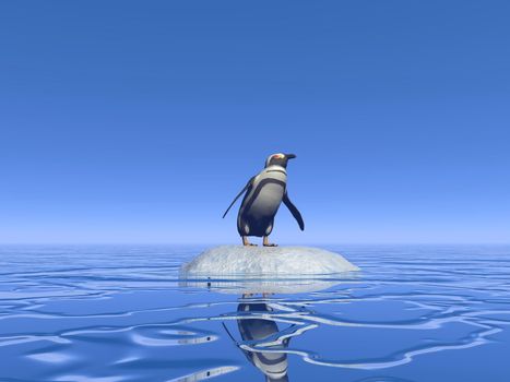 One penguin standing alone on a small iceberg lost in the middle of the ocean