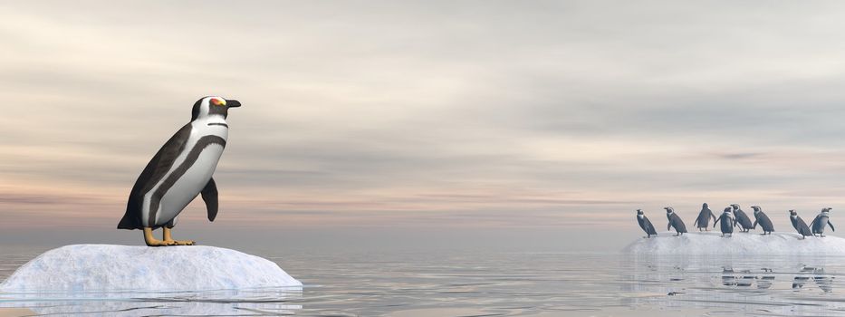 One penguin standing alone on a small iceberg and looking at all the others far away on another big iceberg