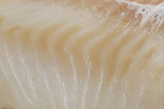 Close up of fresh raw cod fillet