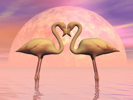 Couple of flamingos face to face as lovers in front of the moon