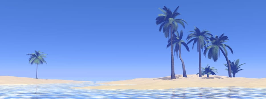Sand island with palmtrees in the middle of ocean by beautiful blue day
