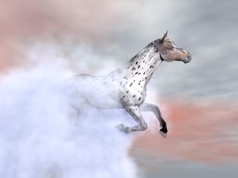 Beautfiul leopard horse running among fog and clouds