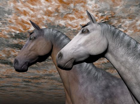 Portrait of two different horses quietly standing together in front of colorful cloudy sky